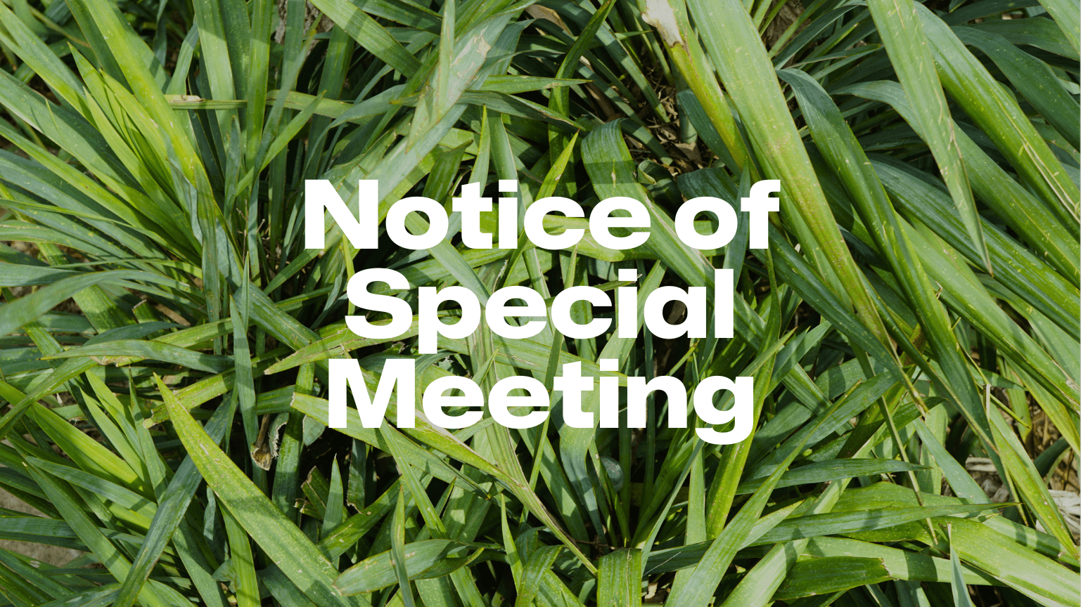 Generic Notice of Special Meeting 1.png
